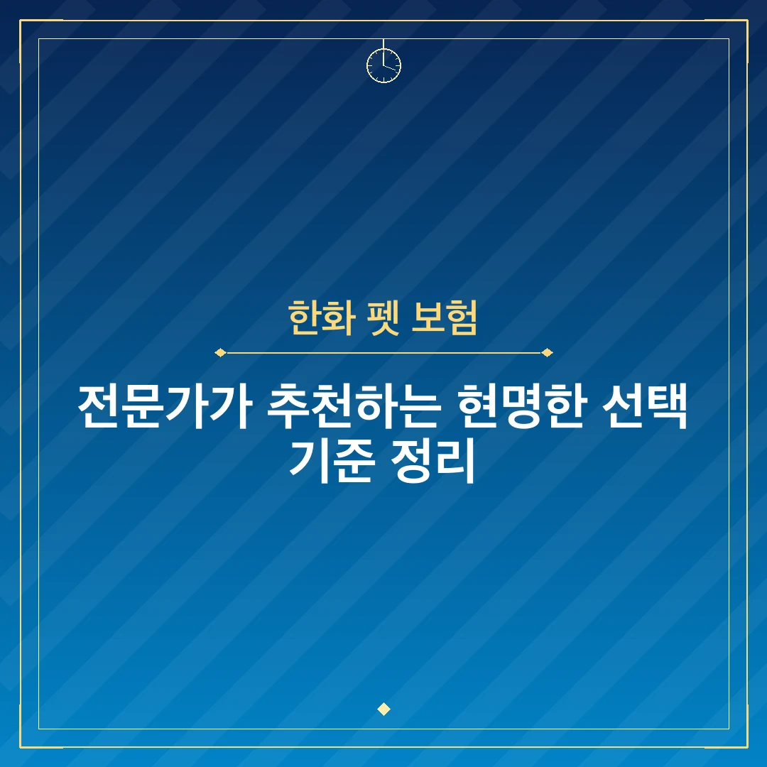 한화 펫 보험